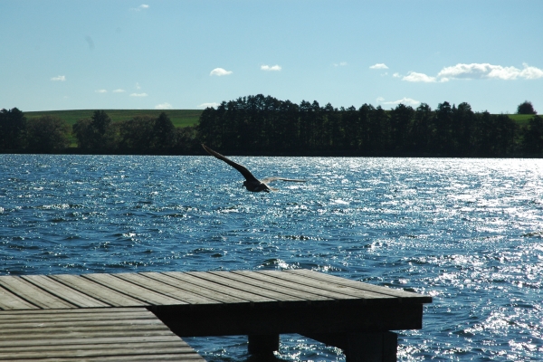 Alago Hotel am See Nichtraucherhotel